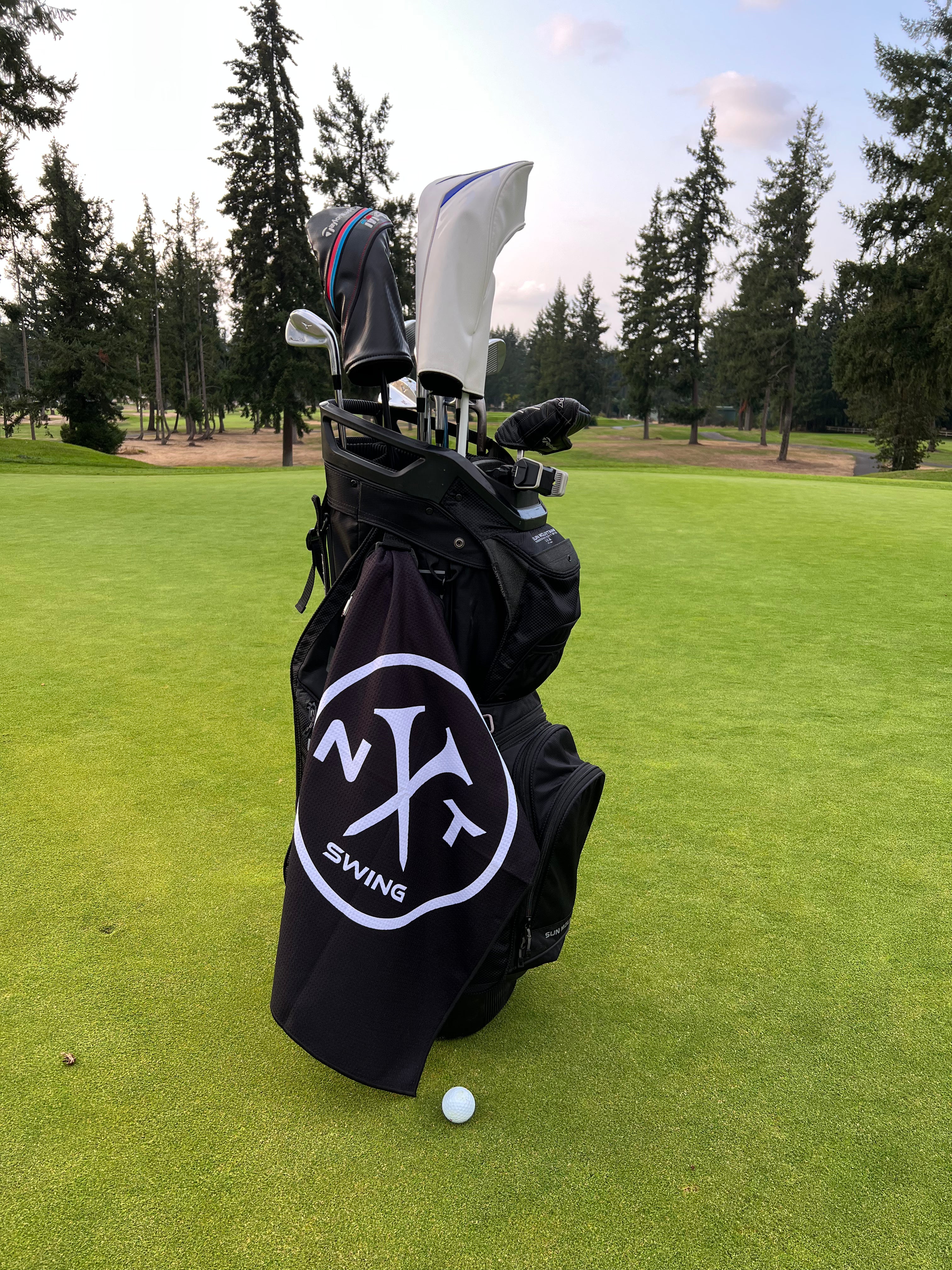 NXT Bag Towel